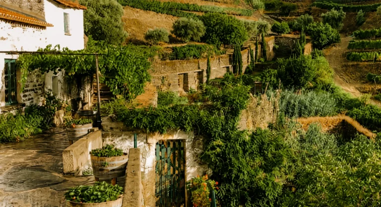 Touching Grass is Not Enough, I Need to Visit These 7 Agroturismos