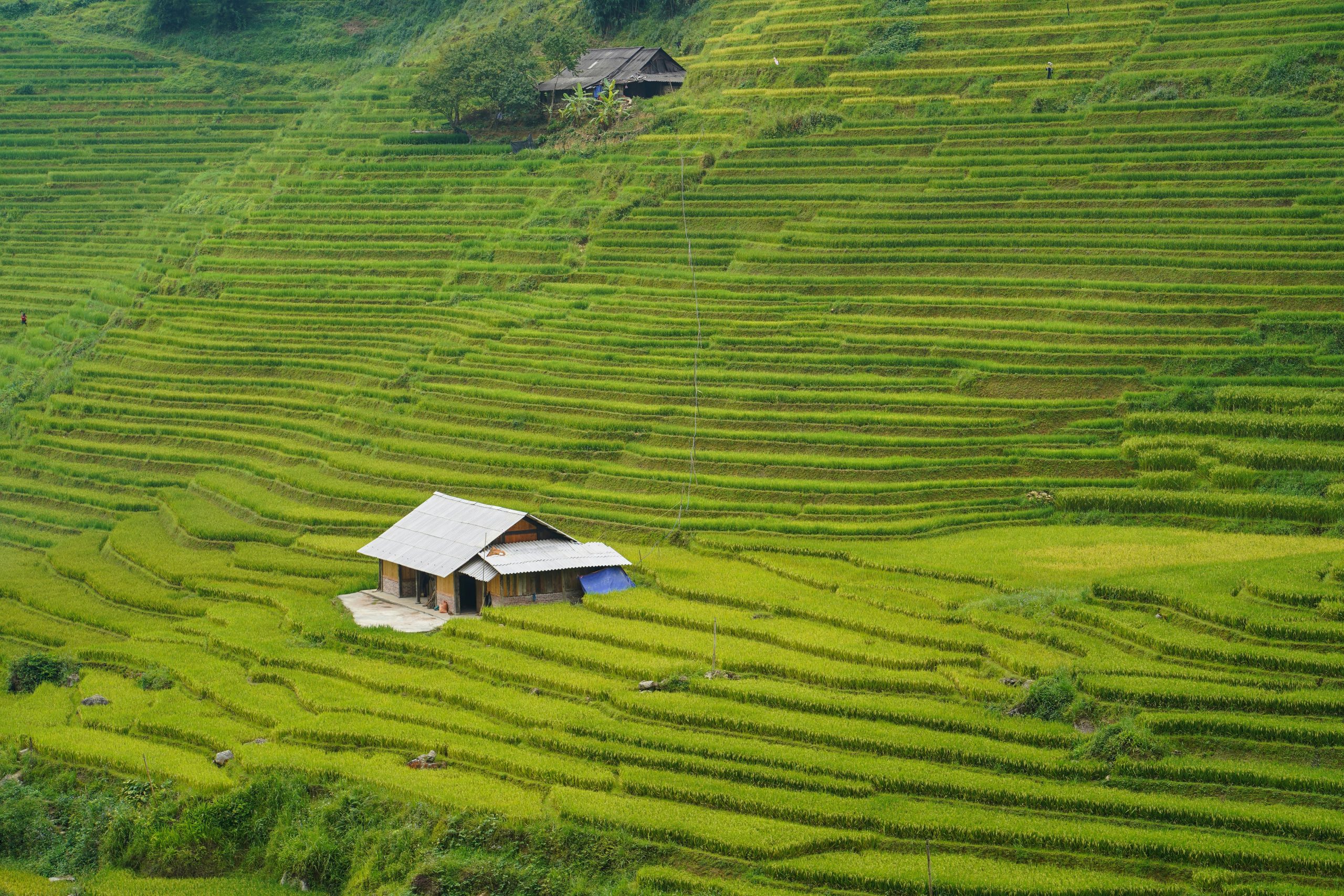 Day 4 Sapa