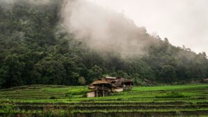 A Private Journey into the Golden North
