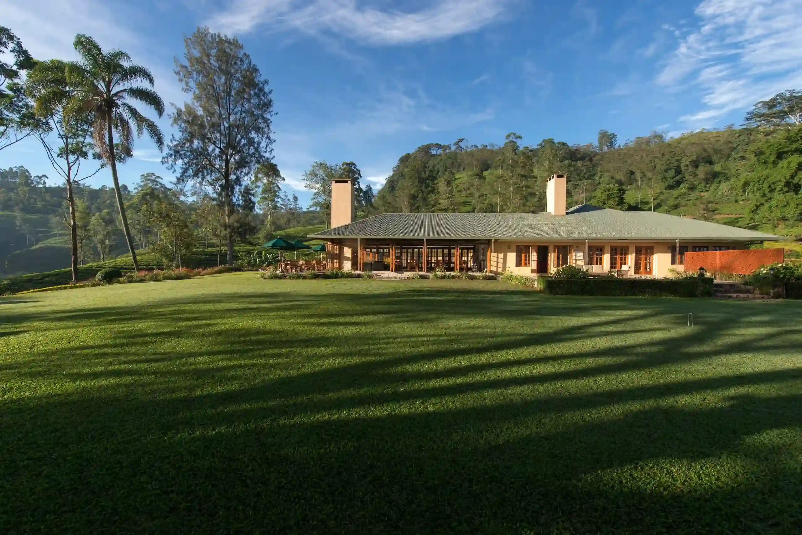 Ceylon Tea Trails