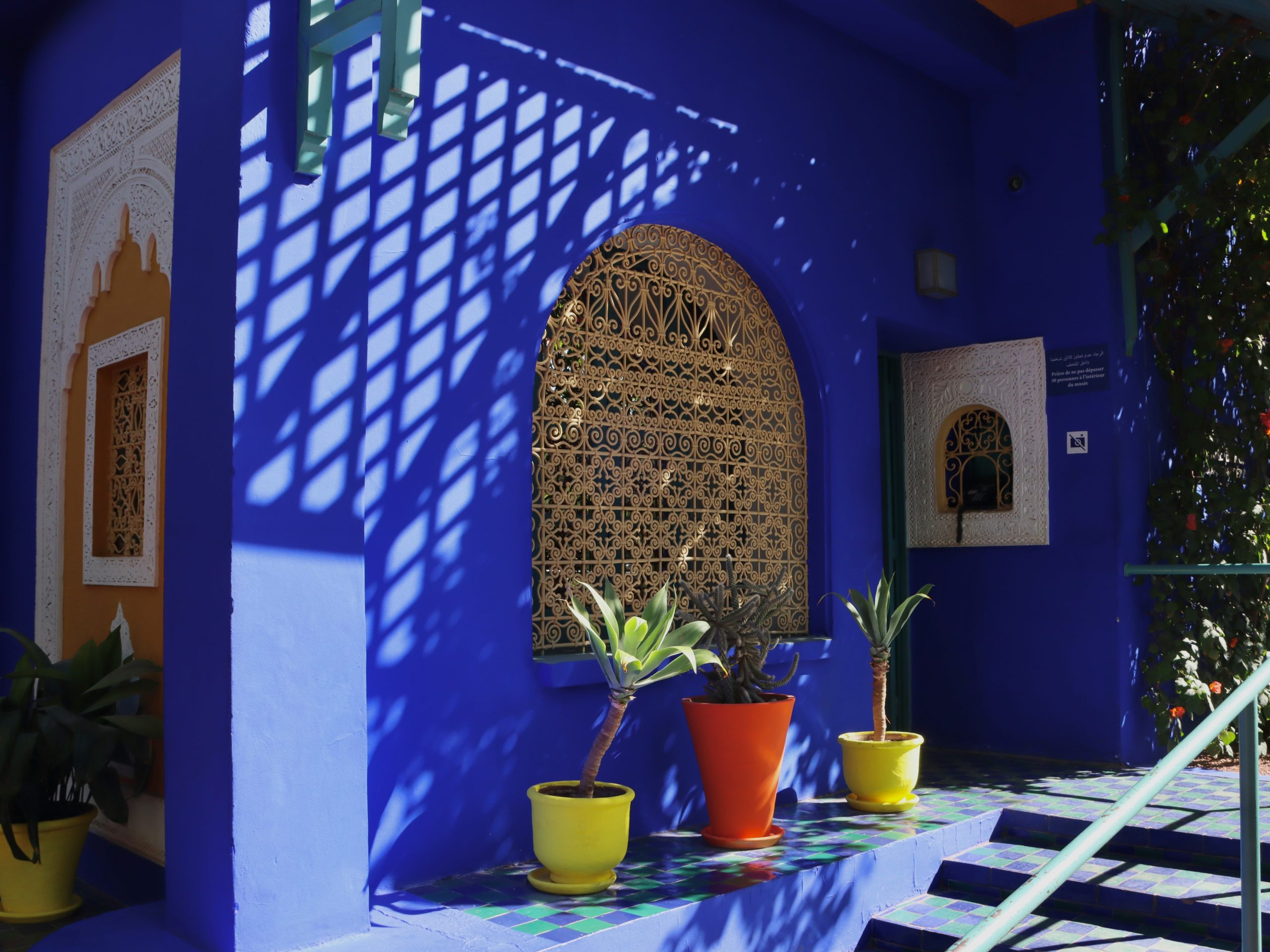 Day 2 Jardin majorelle