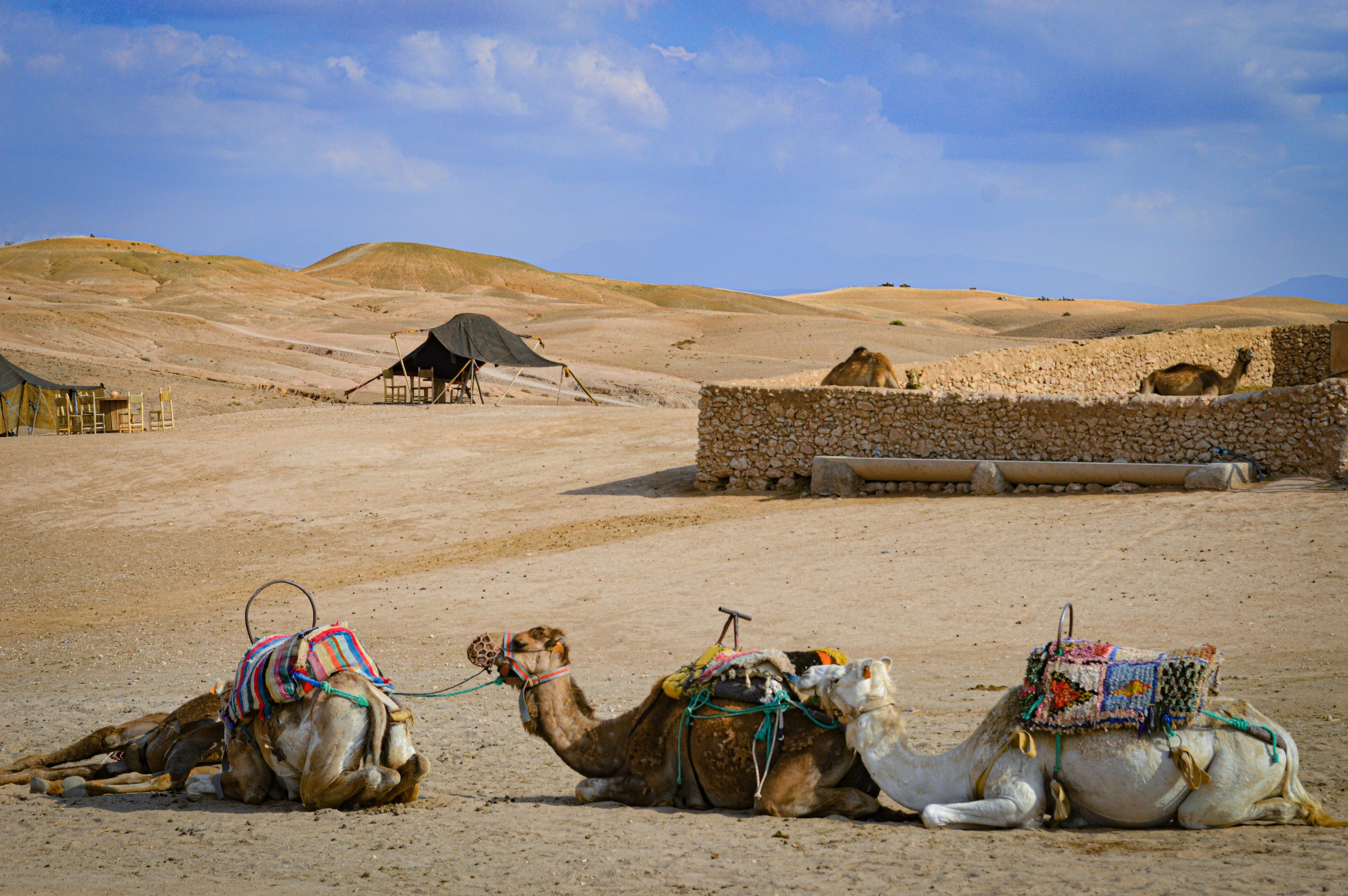 Day 6 Agafay desert