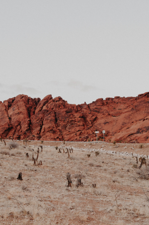 https://vabeau.crea8ivedev.com/wp-content/uploads/2026/05/desert-image.png