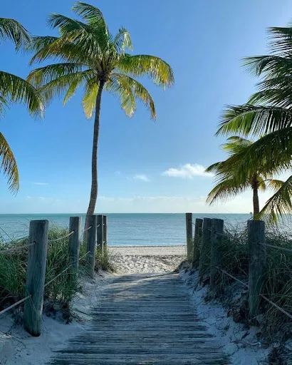 https://vabeau.crea8ivedev.com/wp-content/uploads/2026/05/imgi_10_Palm-Beach-3.webp