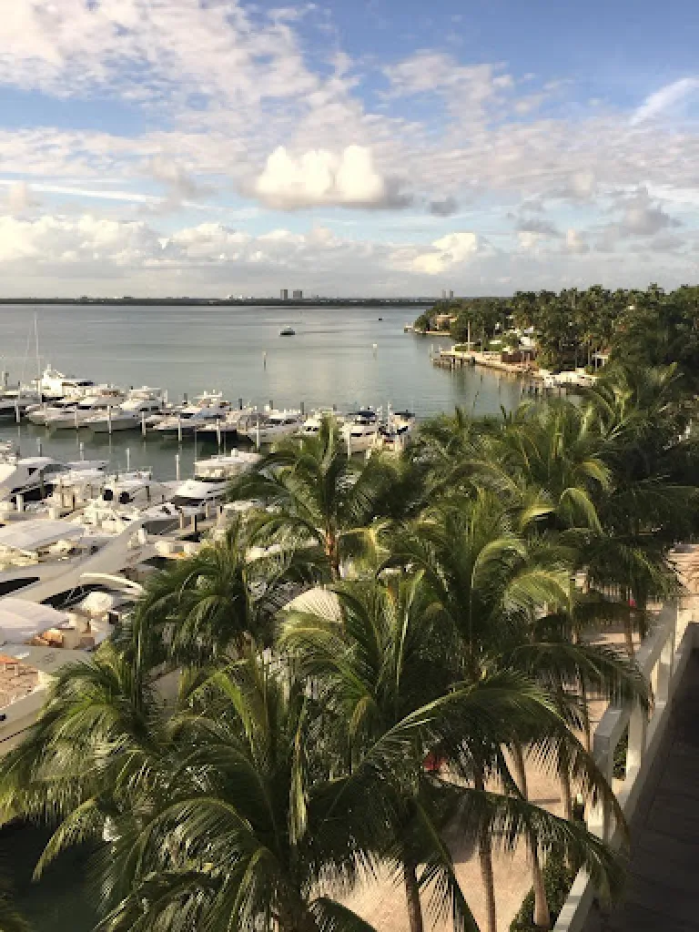 https://vabeau.crea8ivedev.com/wp-content/uploads/2026/05/imgi_25_PalmTrees-768x1024-1.webp