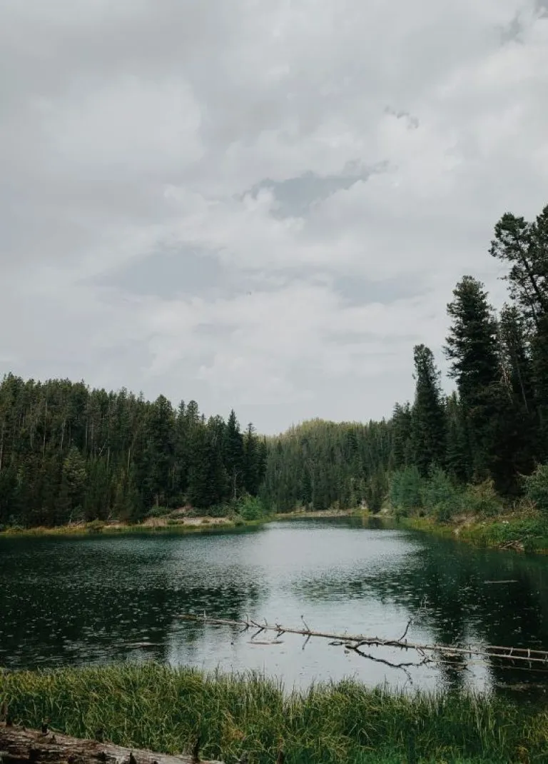 https://vabeau.crea8ivedev.com/wp-content/uploads/2026/05/imgi_35_Montana-Float-768x1070-1.webp