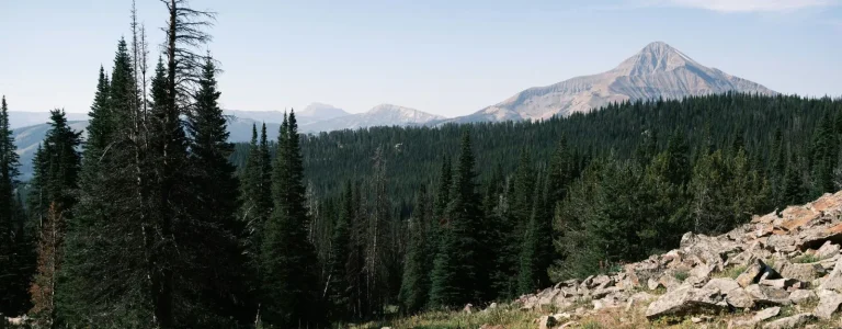 Montana Misadventures: A Float Trip with Unexpected Twists