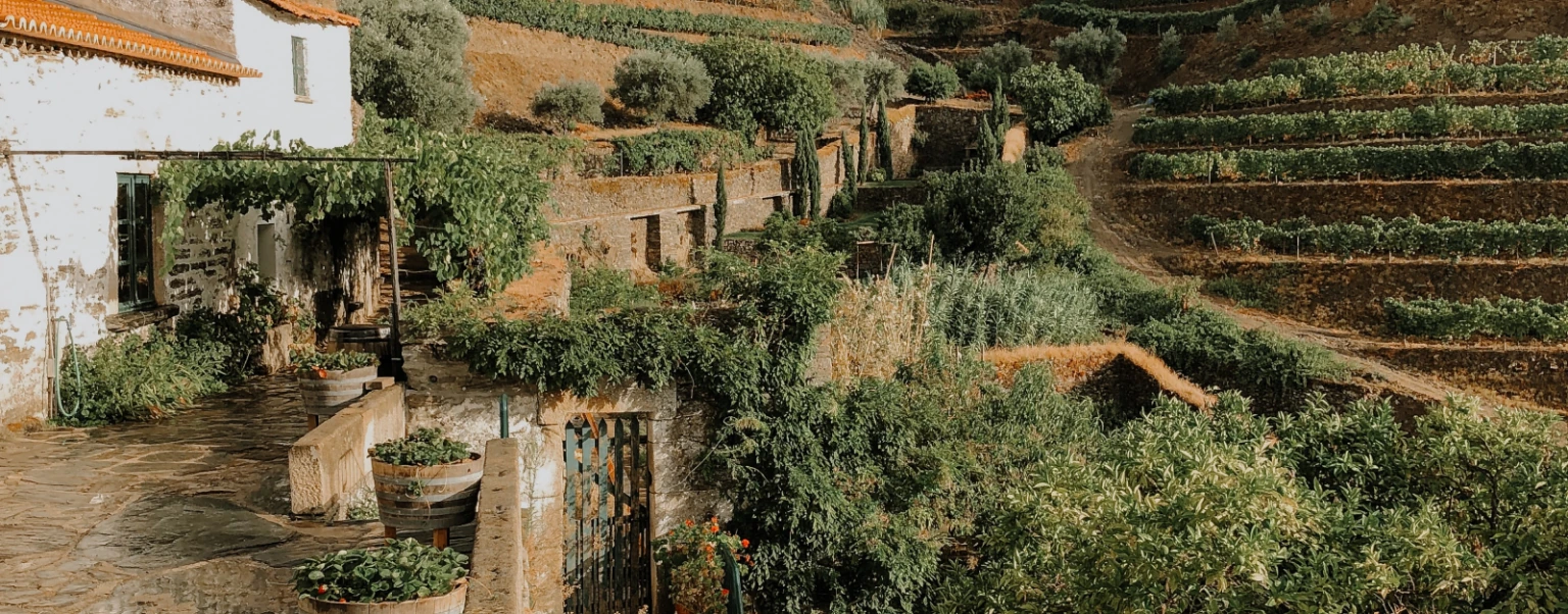 Touching Grass is Not Enough, I Need to Visit These 7 Agroturismos