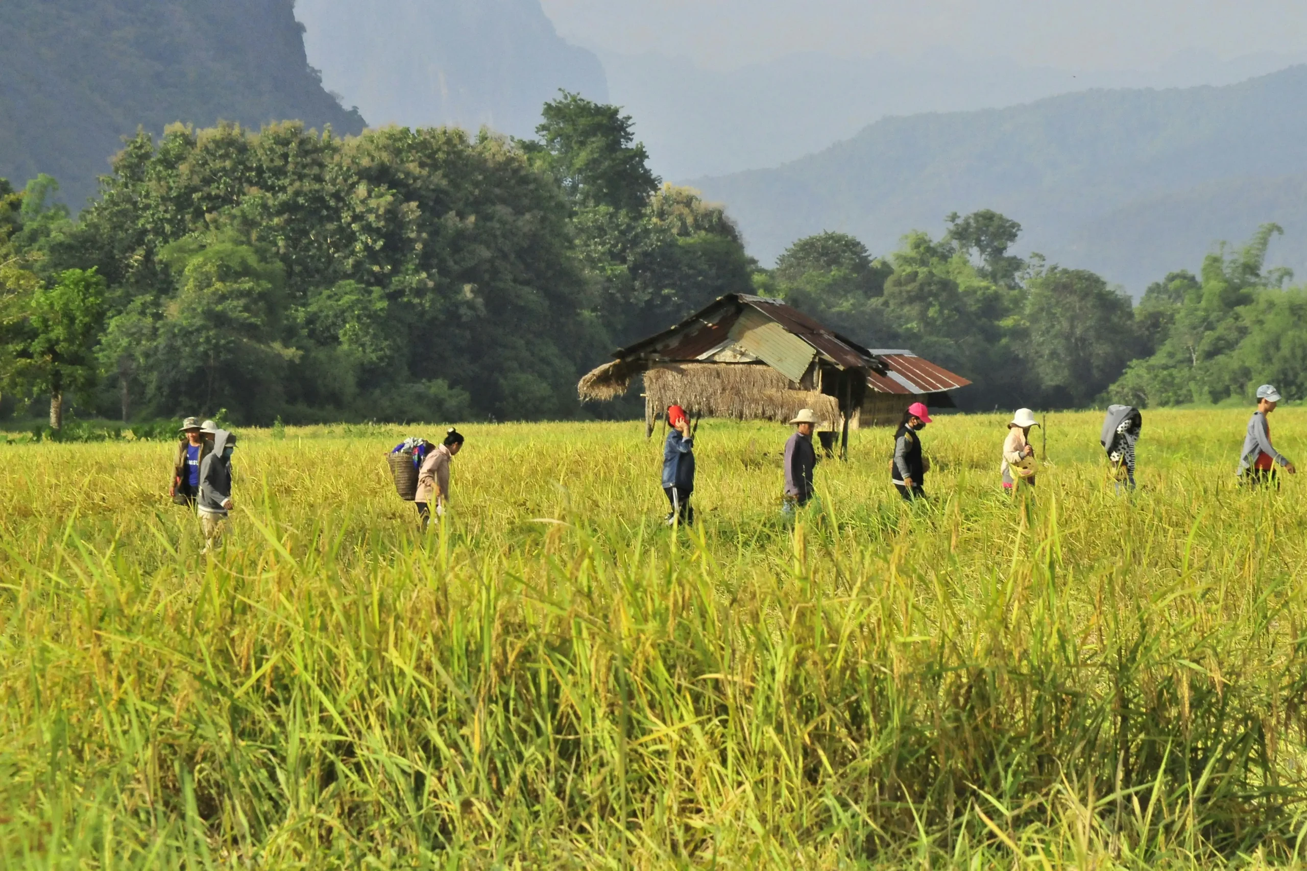laos 1