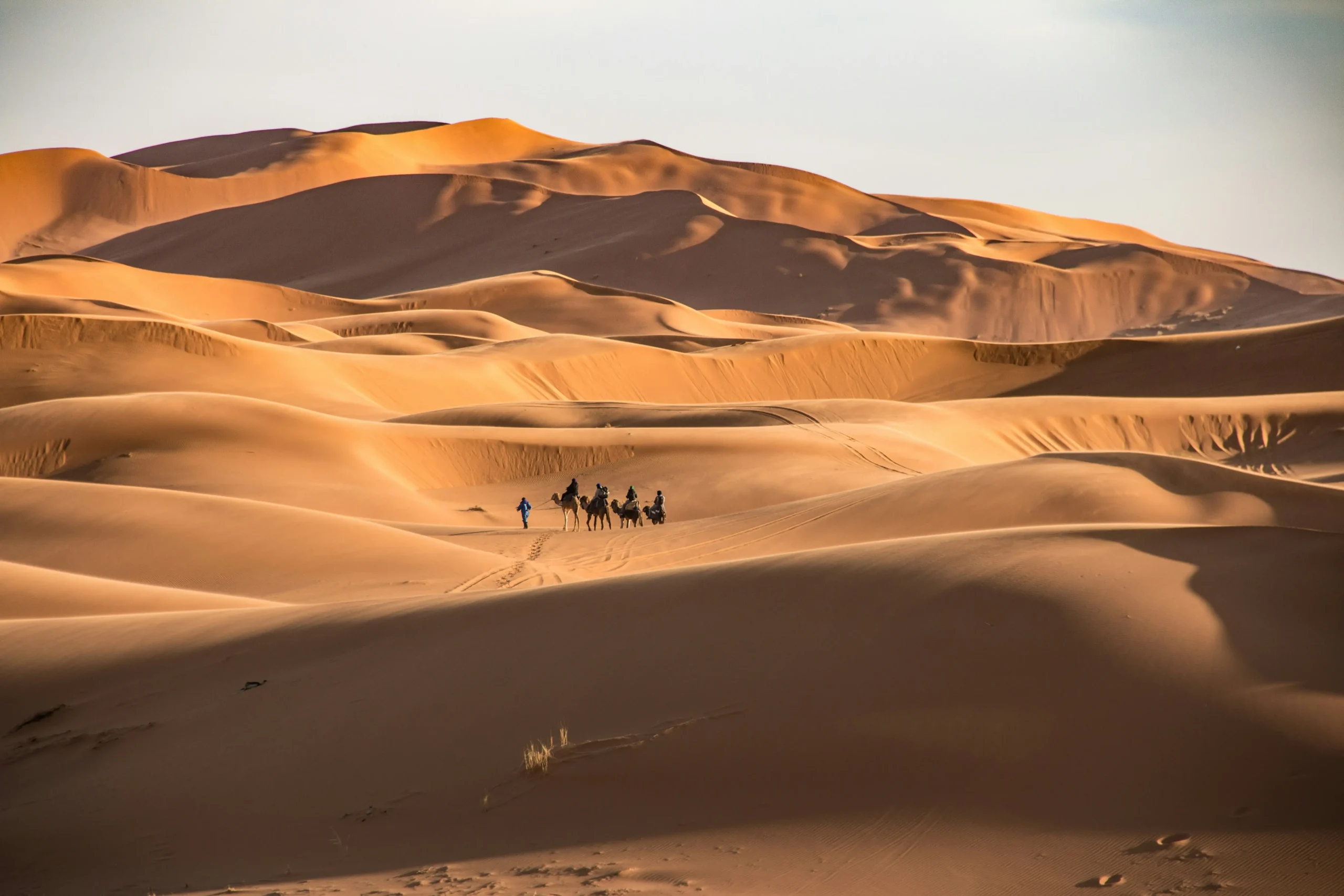 Erg Chebbi Morocco - Image credit peter-schulz
