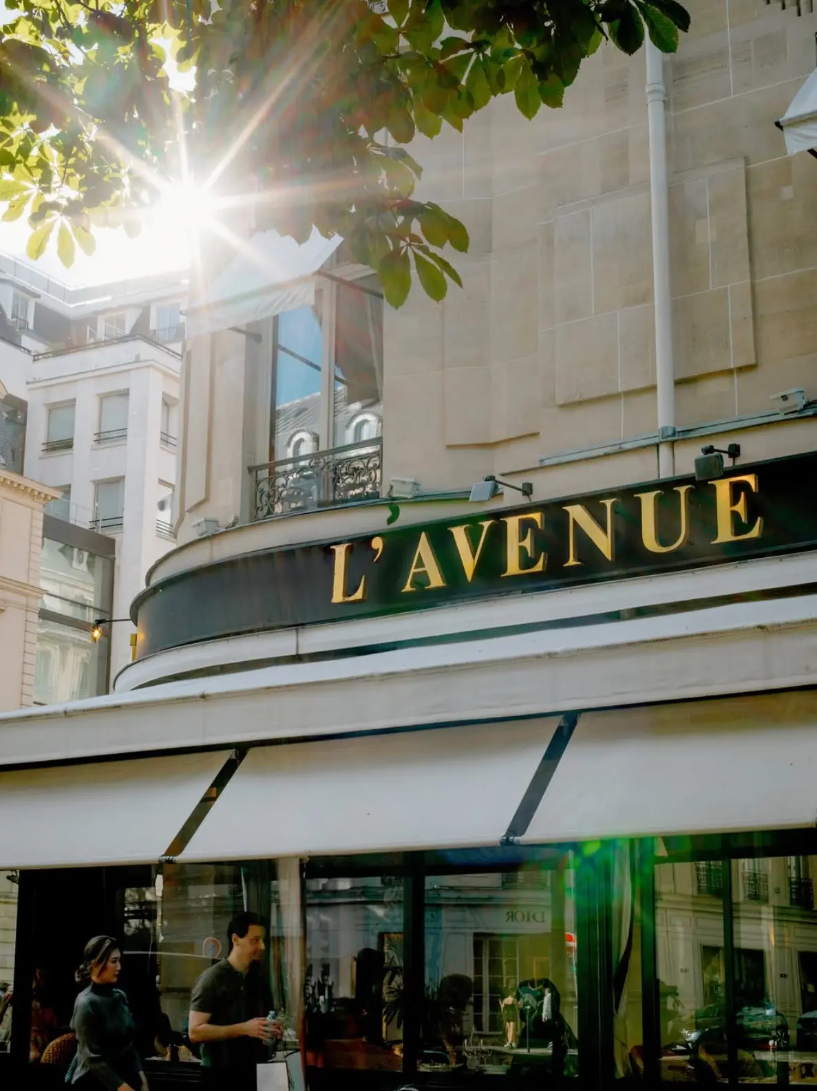 L'Avenue restaurant Paris - Image Credit L'Avenue restaurant Paris