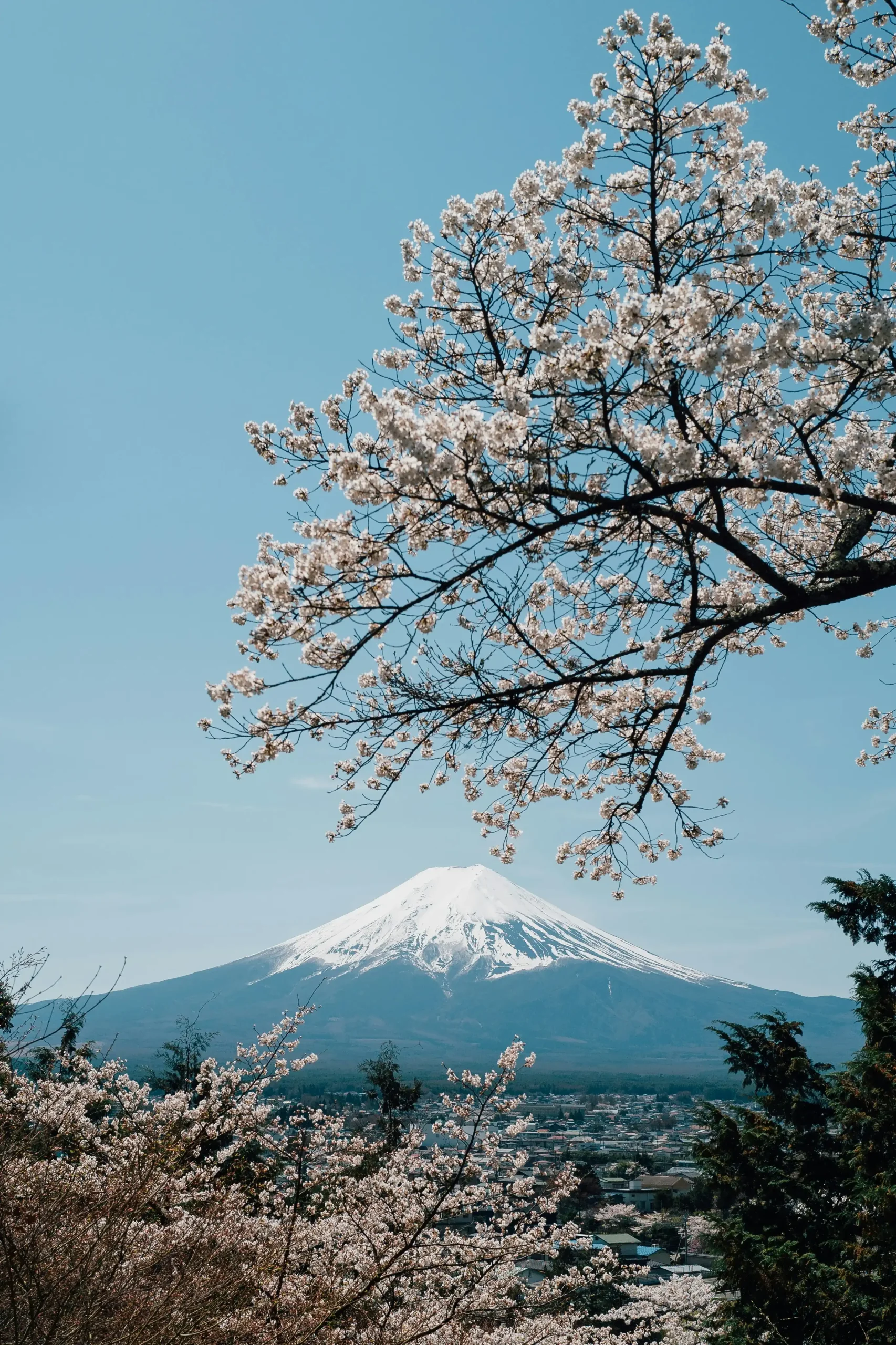 Mount Fuji Image credit - mon-jester