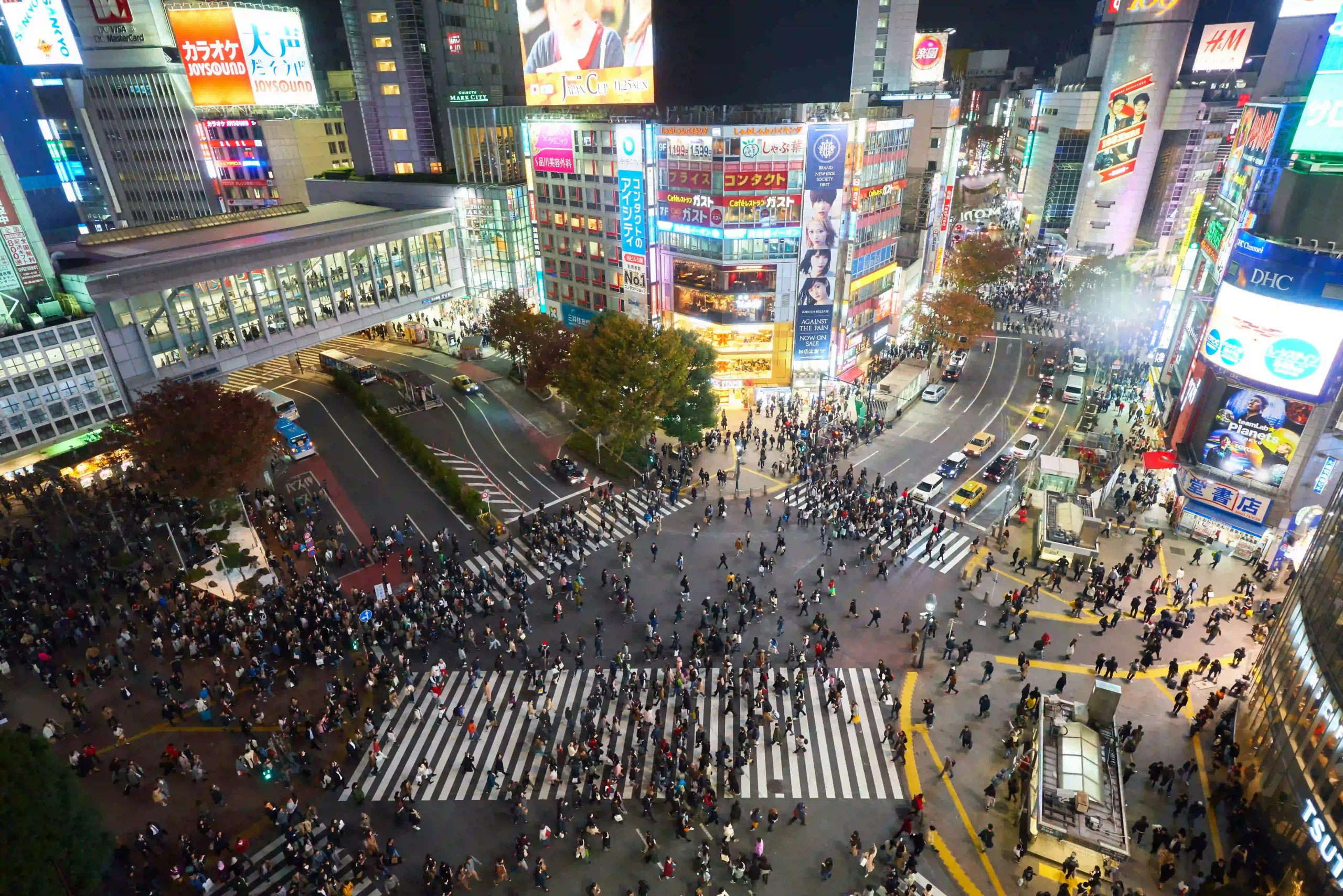 Shibuya Crossing at night - image credit - timo-volz