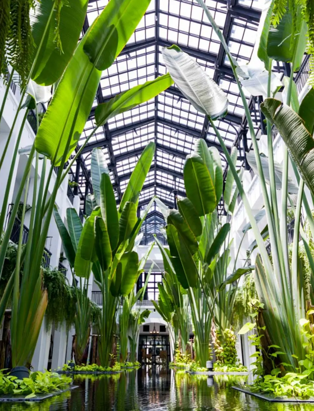 Siam Bangkok