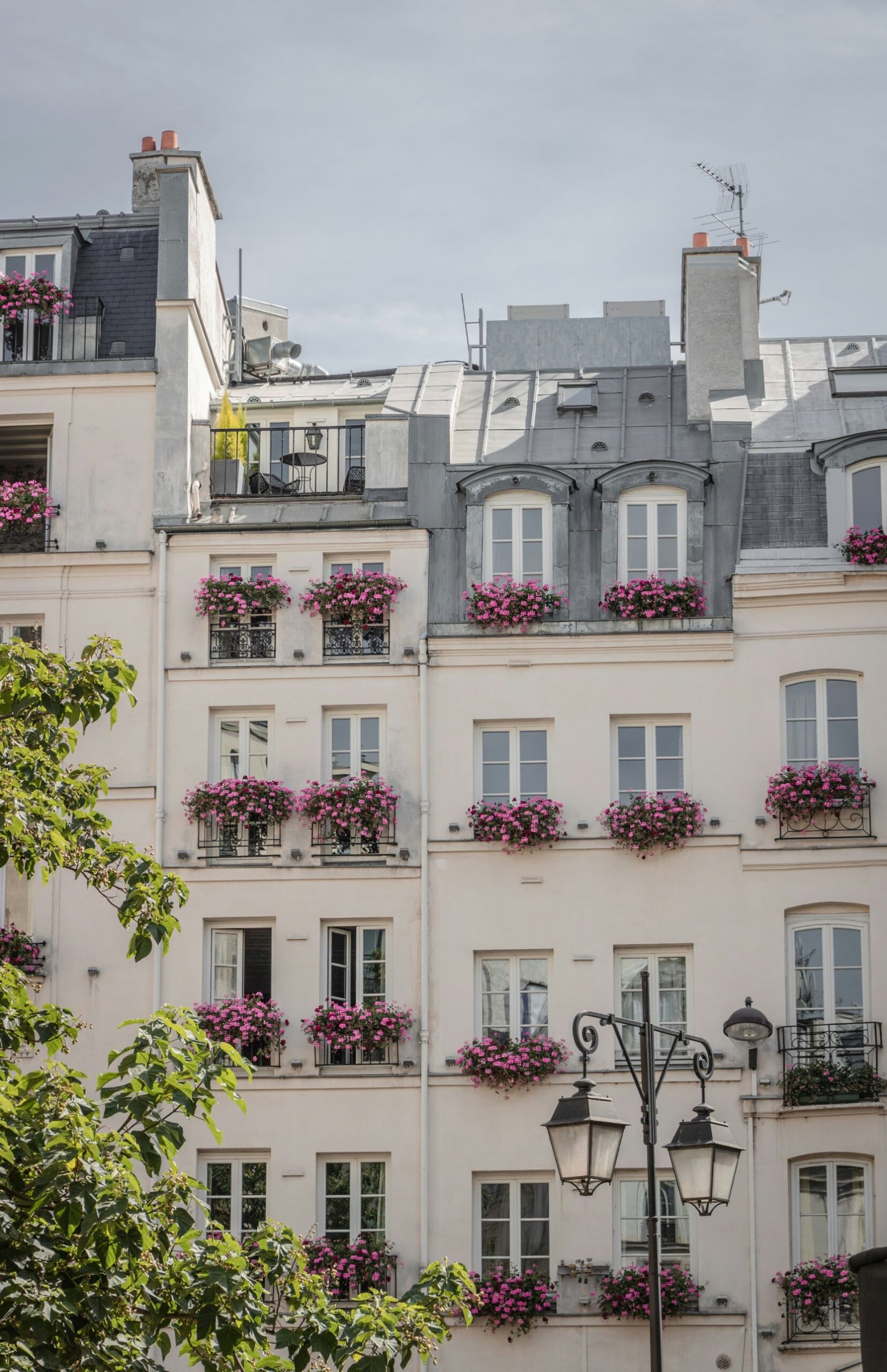 Flower boxes on a Paris facade
