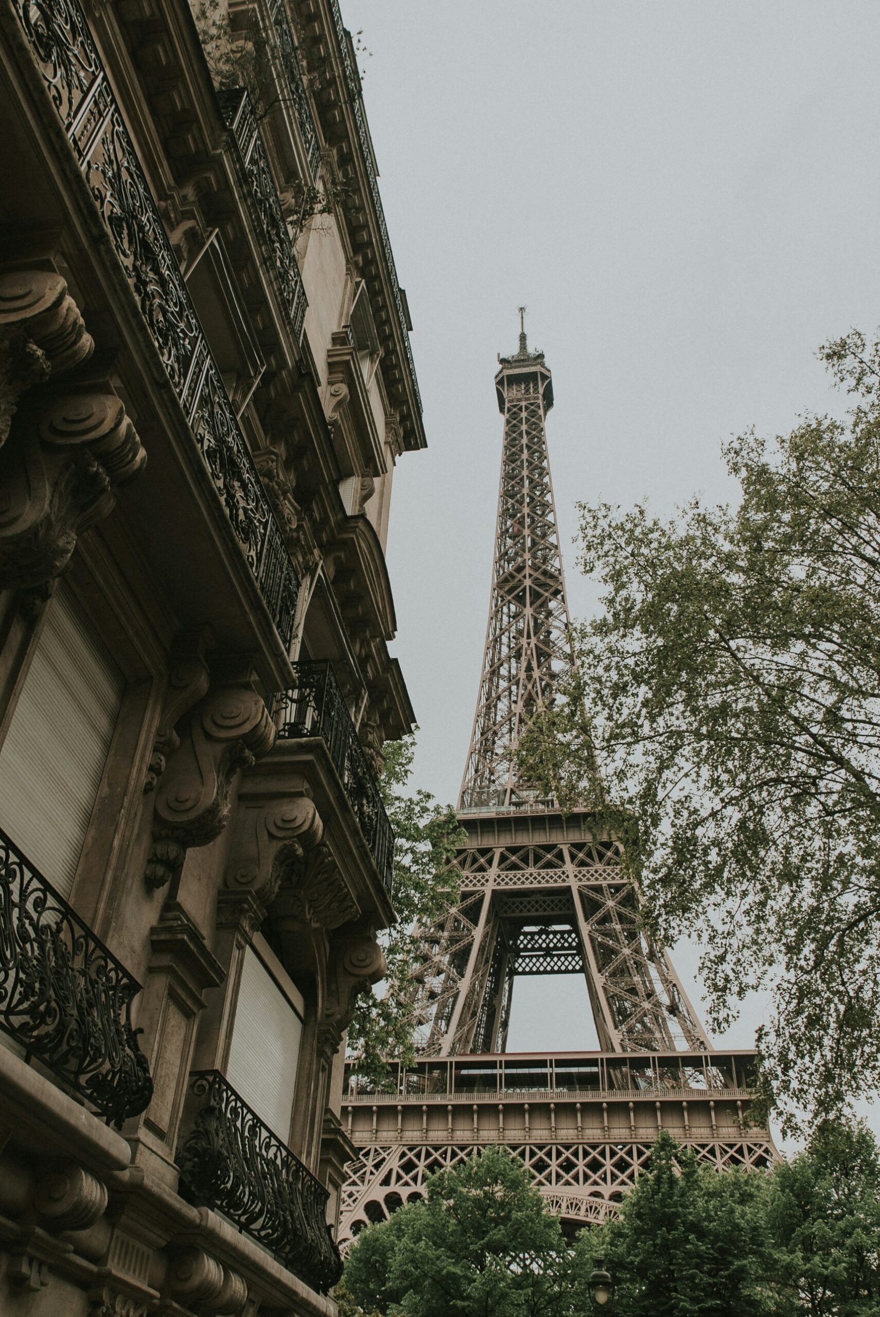 The Eiffel Tower from the street